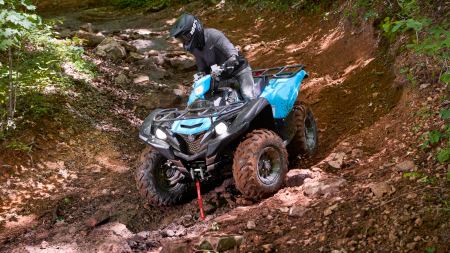 Yamaha Grizzly 700 EPS [1]