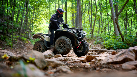 Yamaha Grizzly 700 EPS SE [3]