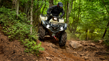 Yamaha Grizzly 700 EPS SE [2]