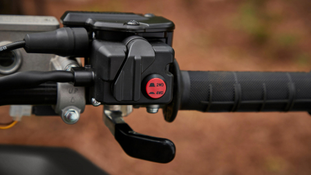 Yamaha Kodiak 450 EPS SE [5]