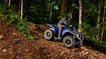Yamaha Kodiak 450 EPS SE [8]
