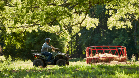 Yamaha Kodiak 700 EPS [1]