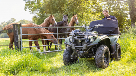 Yamaha Kodiak 700  [4]
