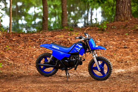 Yamaha PW50 [10]
