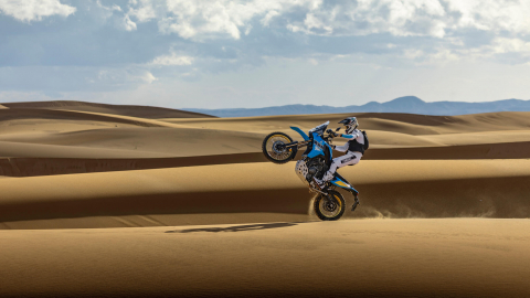 Yamaha Tenere 700 Rally [10]