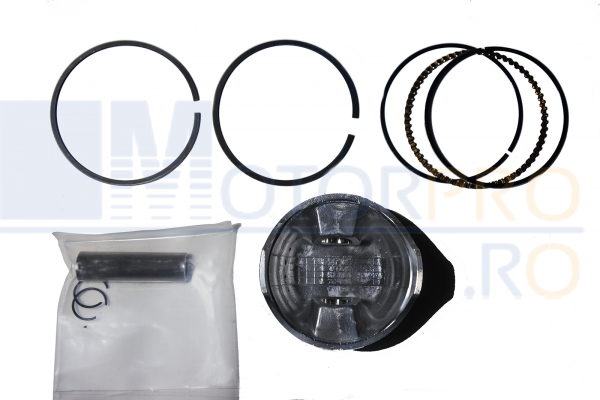 Piston complet [1]