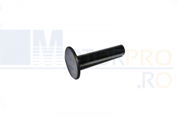 Tachet ax cu came [1]