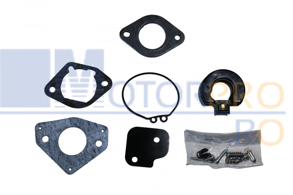 Kit carburator [1]