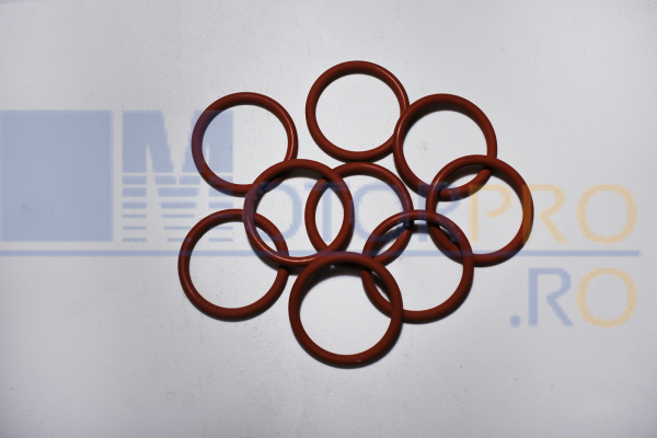 O ring [1]