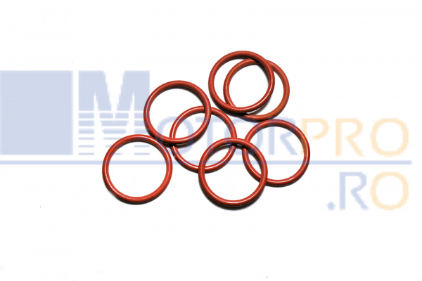 O ring [1]