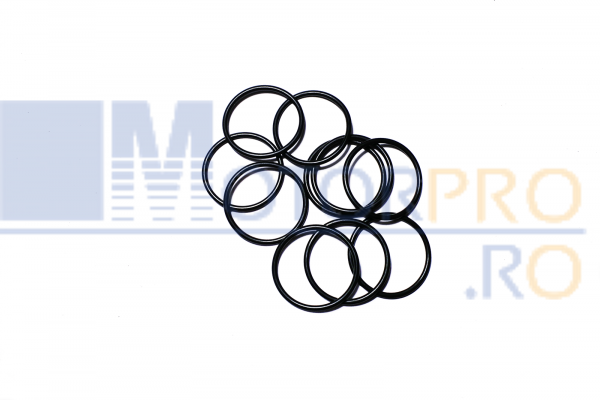 O ring [1]