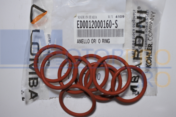 O ring [2]
