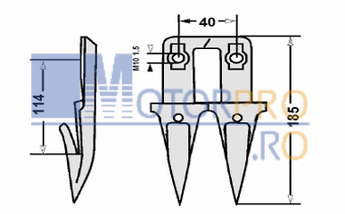 Dinte dublu îngust [2]