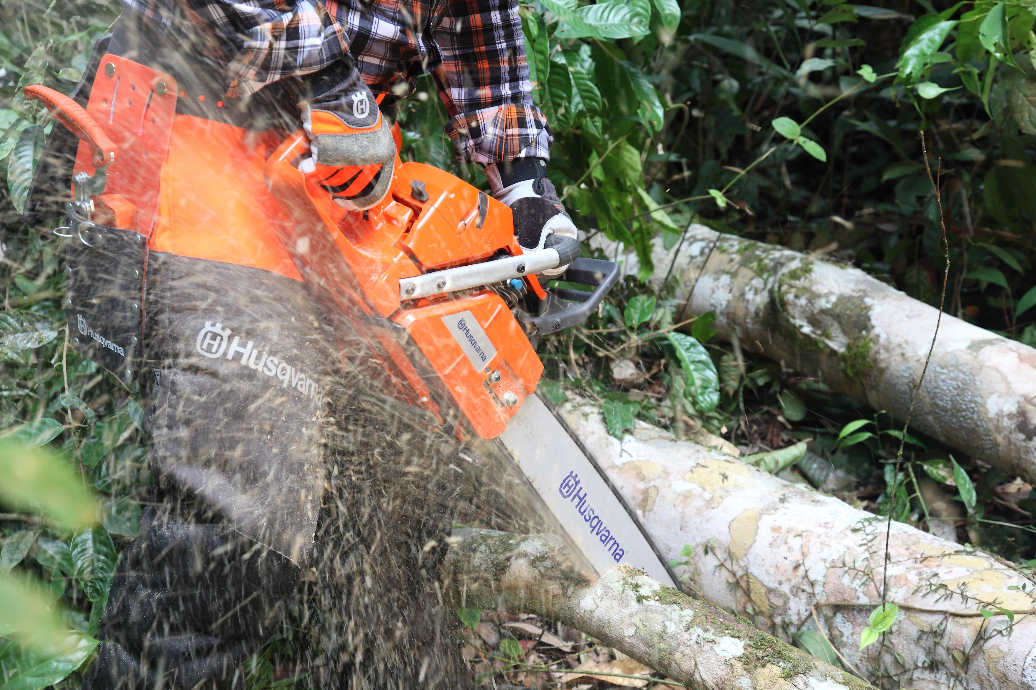Motoferăstrău Husqvarna 365 X-Torq [3]