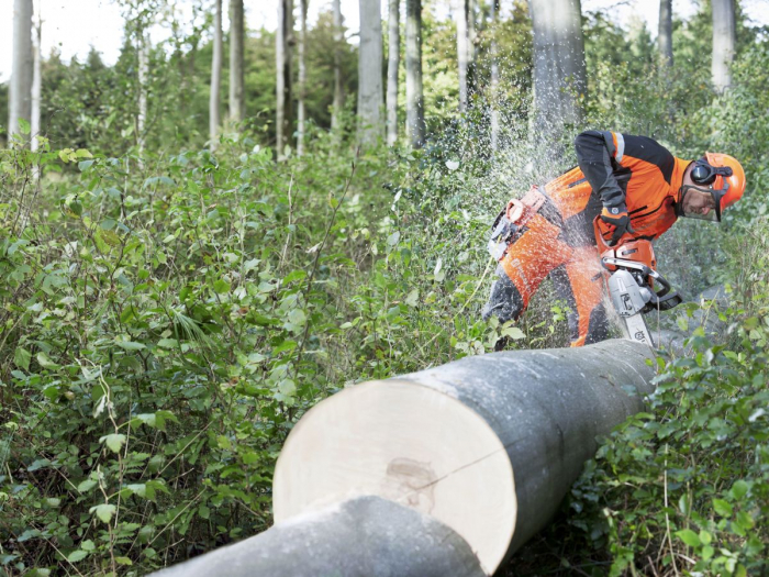 Motoferăstrău Husqvarna 562 XP Mark II [3]