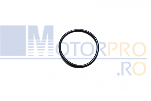 Piese Lombardini / Kohler - O ring
