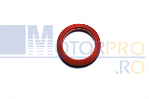 Piese Lombardini / Kohler - Oring