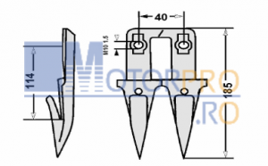 Dinte dublu îngust [1]