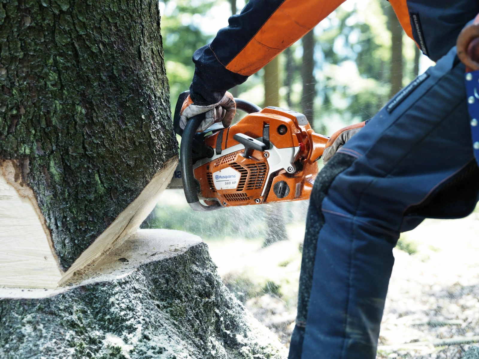 Motoferăstrău Husqvarna 560 XP Mark II [2]
