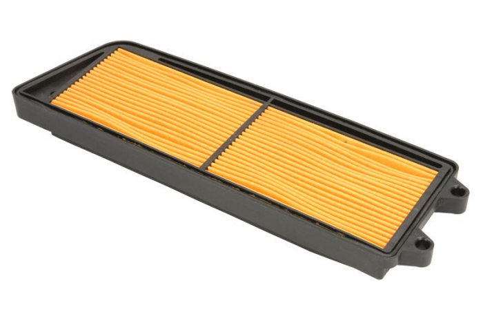 Filtru aer Hiflo HFA3101 [3]