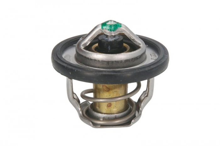 Termostat TOURMAX SUZUKI  781.01.50 [1]