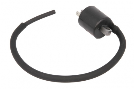 Bobina inductie Suzuki 700.23.22 [1]