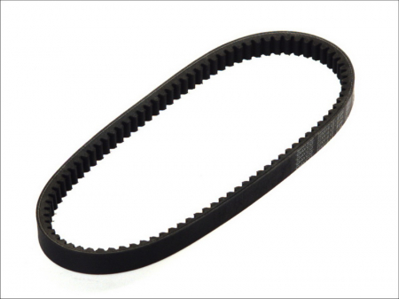 Curea Transmisie - Curea transmisie 22.0X916 Dayco