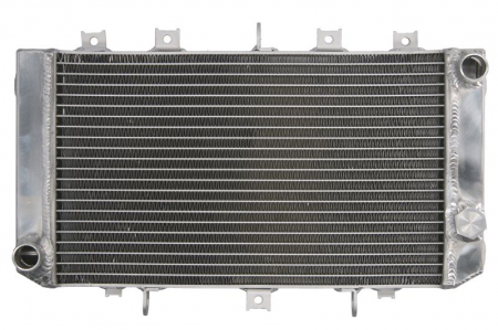 Radiator Racire KAWASAKI Z 750 2004-2006 [0]