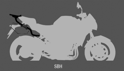 Universal side bag holders SHAD on Top Master [1]