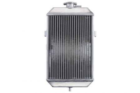Radiator Quad/ATV YAMAHA YFM 660 2001-2005 [1]