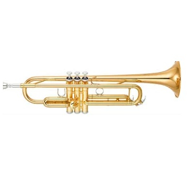 Instrumente de suflat