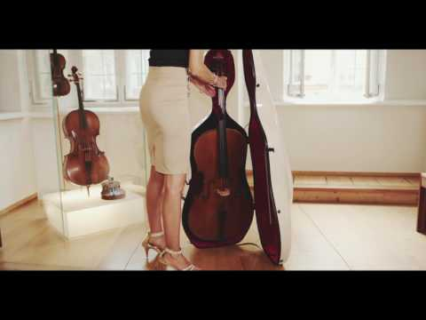 Cutie Gewa Air violoncel [2]