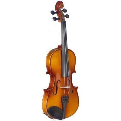 Set Stagg vioara acustica [2]