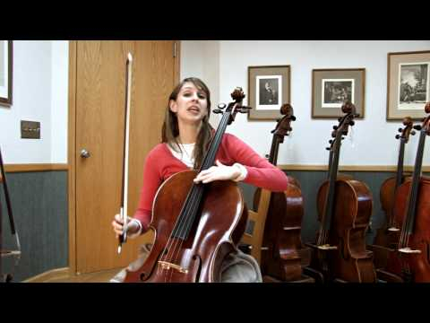 Wolf eliminator violoncel [2]