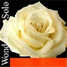 Wondertone Solo - Coarda E Wondertone Solo vioara