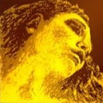 Evah Pirazzi Gold - Coarda G Evah Pirazzi gold, aur vioara