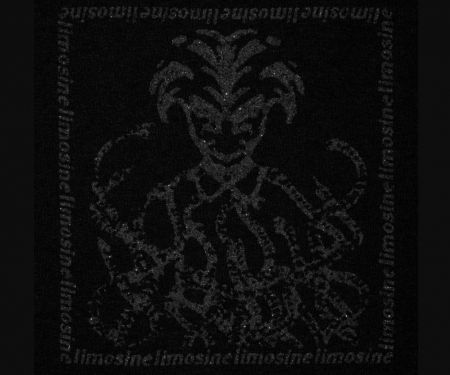 LIMOSINE Snake Pit Hood - Black / Glitter Print [1]