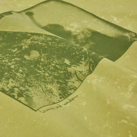 POLAR Leaves And Window LS [2]