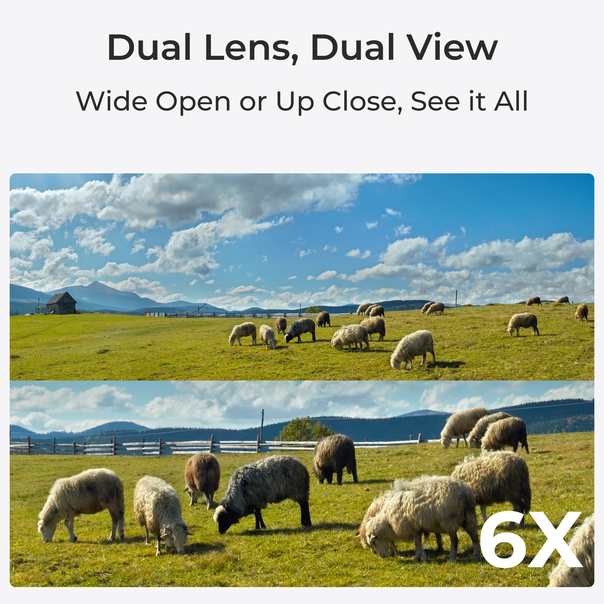 Dual-tracking