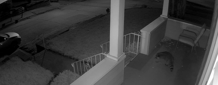 Pachet camera de supraveghere cu Card MicroSD 64 GB, Reolink RLC 510WA WIFI, rezolutie de 5MP Super HD [11]