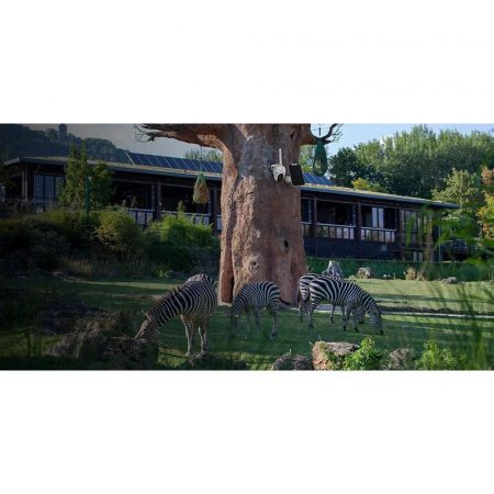 Reolink Go PT Plus surveillance camera with solar panel, 4G - LTE, rechargeable battery, 4 MP resolution, person/vehicle detection [8]