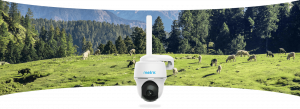 Reolink Go PT Plus surveillance camera with 4G - LTE, rechargeable battery, 360° visibility, Person/Vehicle detection, 4 MP resolution [4]