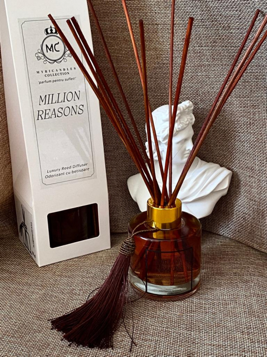 parfum camera-difuzor-parfum cu betisoare-odorizant barbatesc-parfum barbati-million-myricandles [3]