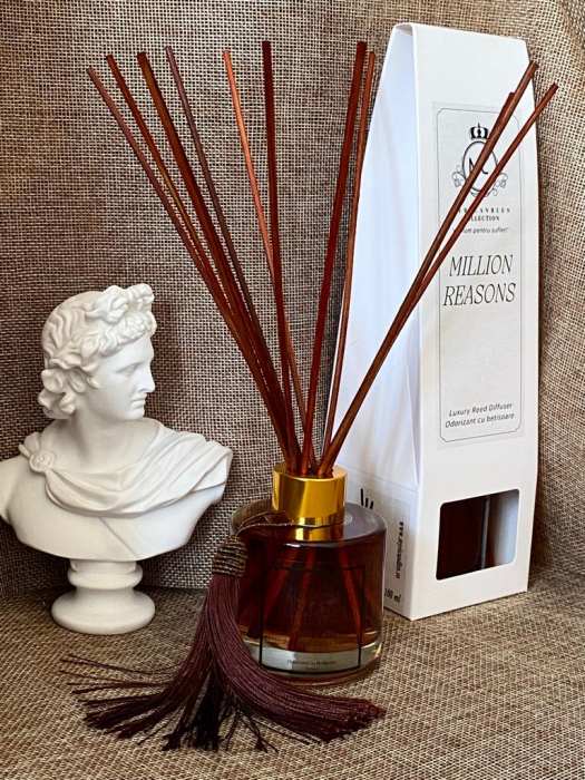 parfum camera-difuzor-parfum cu betisoare-odorizant barbatesc-parfum barbati-million-myricandles [4]