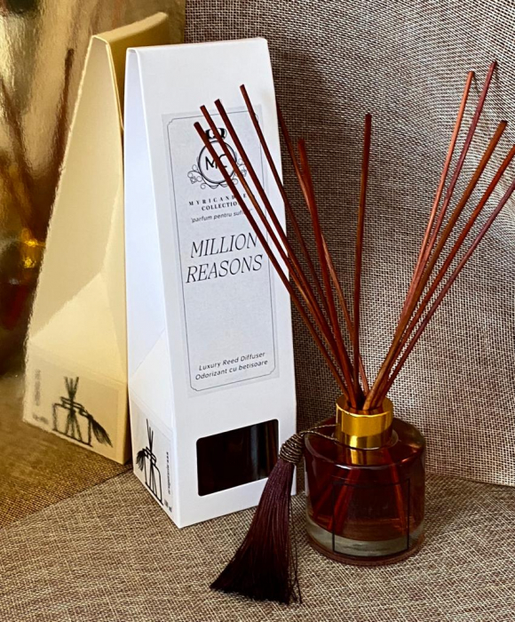 parfum camera-difuzor-parfum cu betisoare-odorizant barbatesc-parfum barbati-million-myricandles [6]