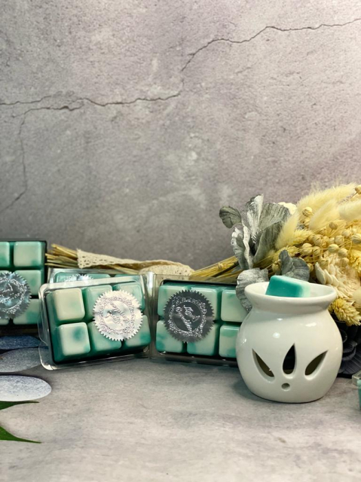 ceara parfumata-tablete parfumate-ceara soia-tarte parfumate-aromaterapie-vas aromaterapie-myricandles [6]