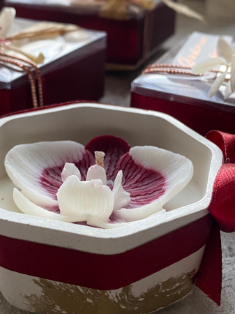Marturii Orhidee alb visiniu, lumânări parfumate din ceară de soia, floare lucrată manual, cutie transparentă și fundă burgundy. Cadou elegant pentru nuntă și botez.  Imagine. Marturii nunta botez Orhidee alb visiniu, lumânări parfumate handmade din ceară soia, cutie transparentă elegantă cu fundiță burgundy, cadou rafinat pentru invitați. [1]