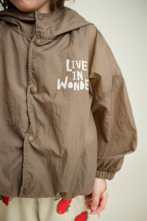 Jacheta WONDER [1]