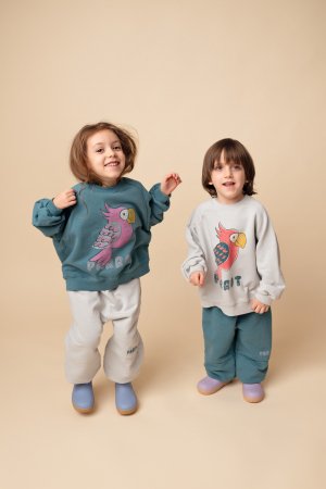 Trening Parrot grey [1]