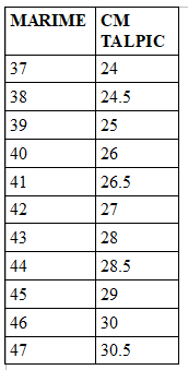 Bocanci de Iarna Imblaniti S3 Classwork [2]